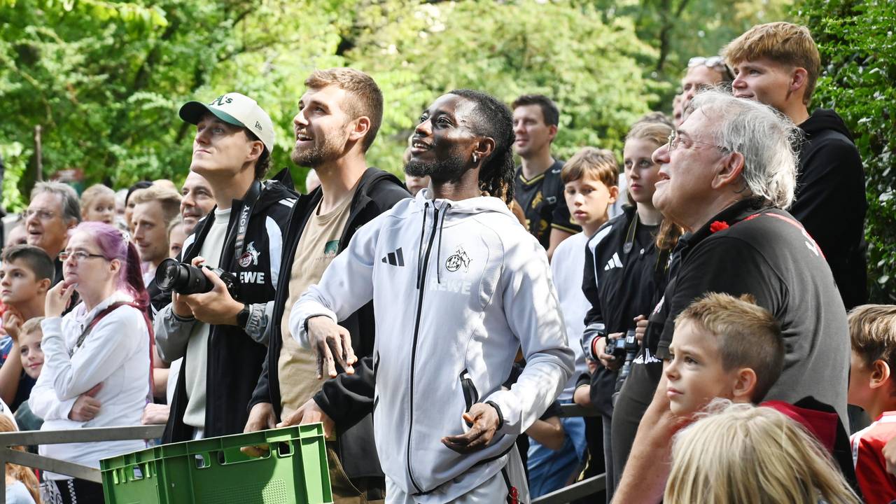 Umringt von Fans füttert Gideon Mensah im Zoo die Paviane.