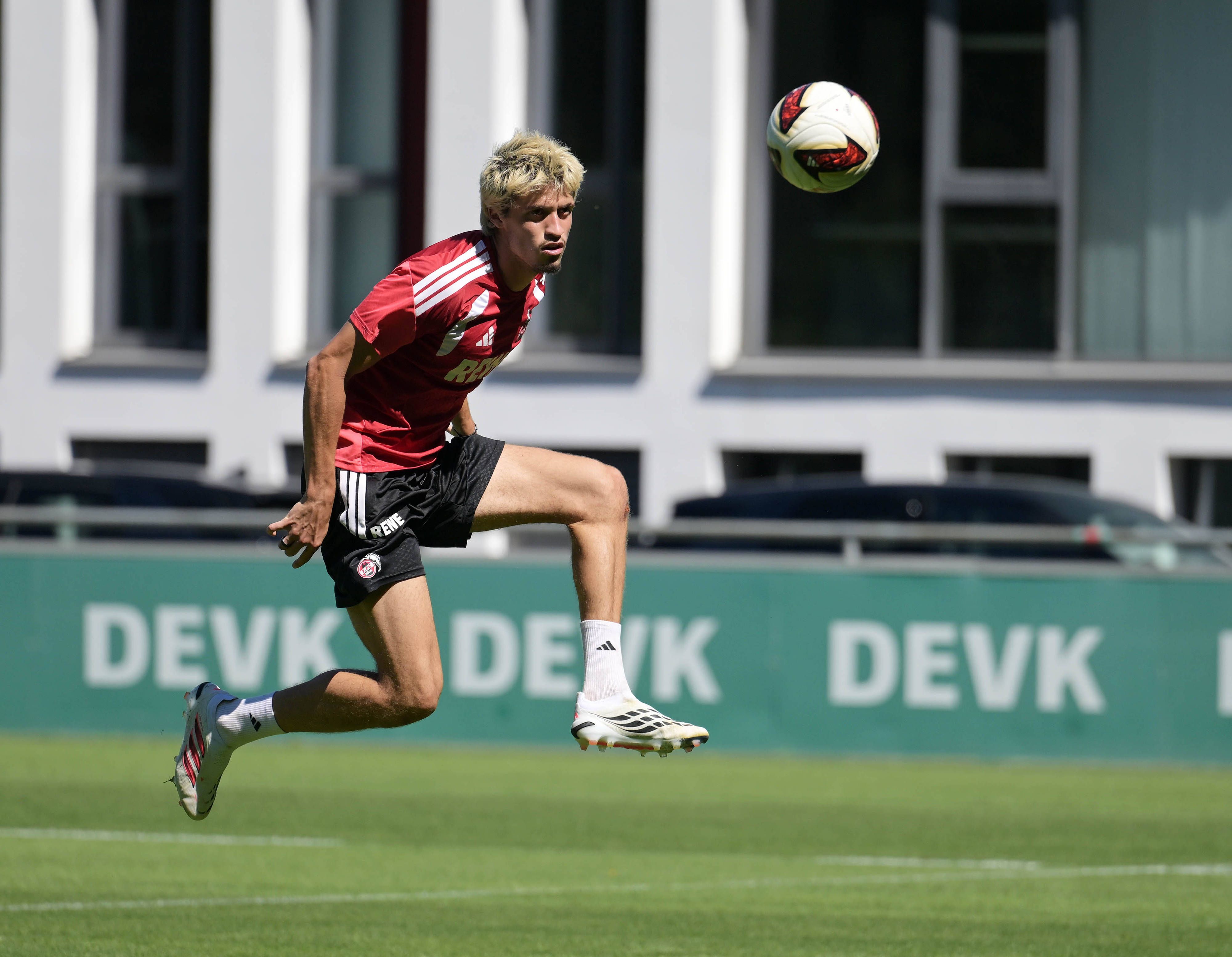 Im Training des 1. FC Köln nimmt Gil neves den Ball an.