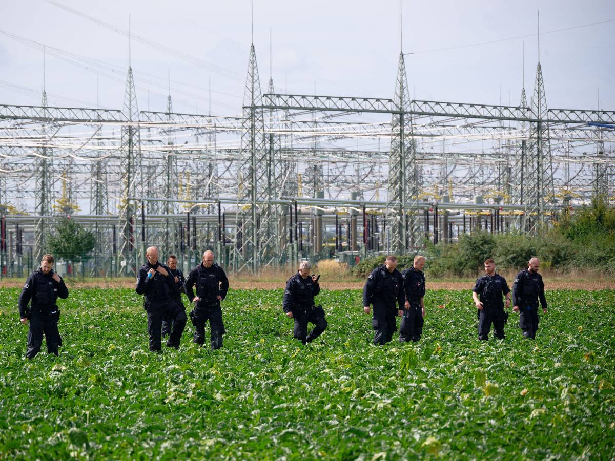 Polizisten suchen in der Umgebung des Umspannwerkes des Netzbetreibers Amprion in Bergheim ein Rübenfeld ab.