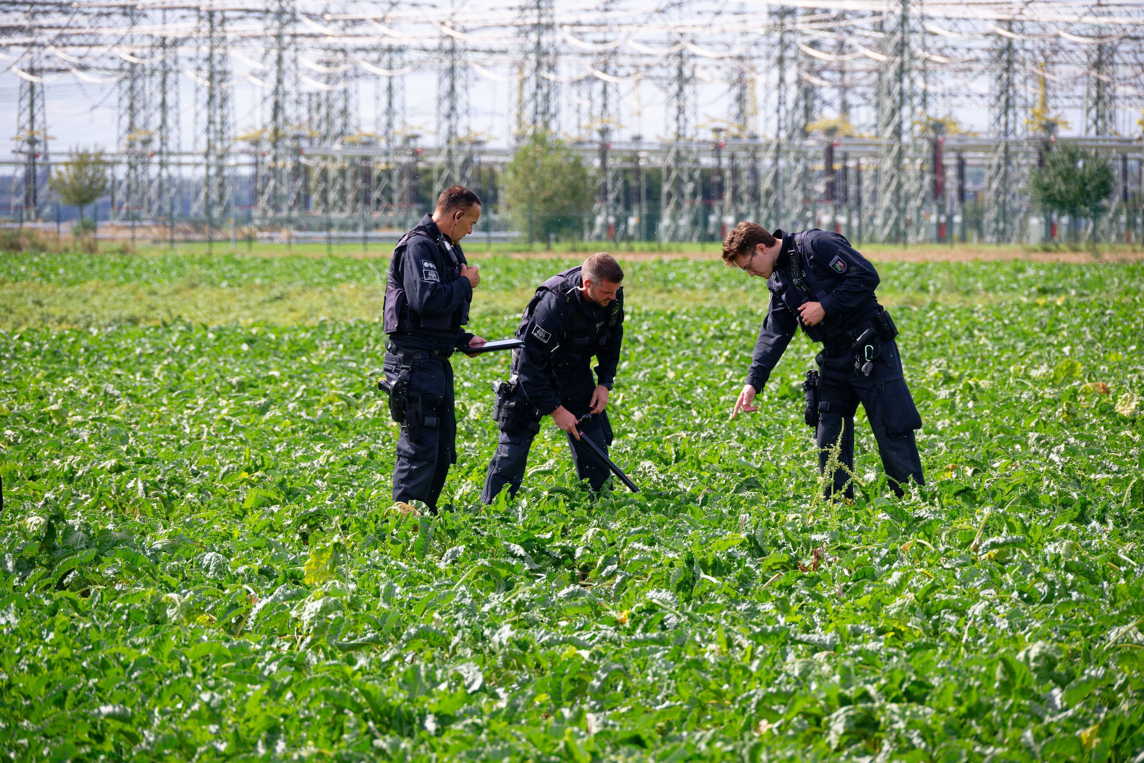 02.09.2026, Nordrhein-Westfalen, Bergheim: Polizisten suchen in der Umgebung des Umspannwerkes des Netzbetreibers Amprion in Bergheim ein Rübenfeld ab. Eine Störung an einem Umspannwerk in Bergheim bei Köln ist nach ersten Erkenntnissen der Polizei vorsätzlich verursacht worden. Foto: Henning Kaiser/dpa +++ dpa-Bildfunk +++