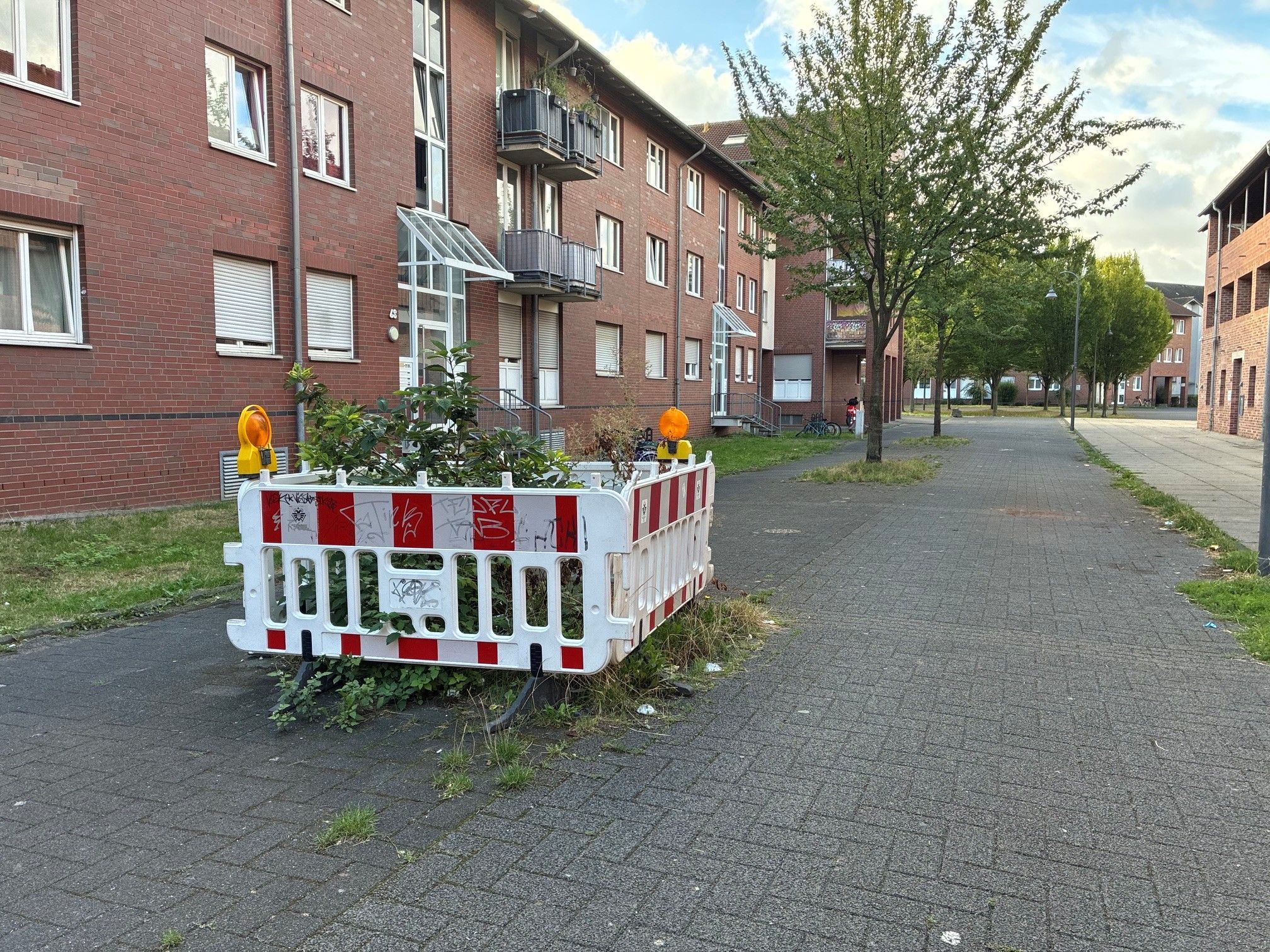 Seit Monaten ist diese Grünfläche in der Schneebergstraße in Köln-Blumenberg abgesperrt.