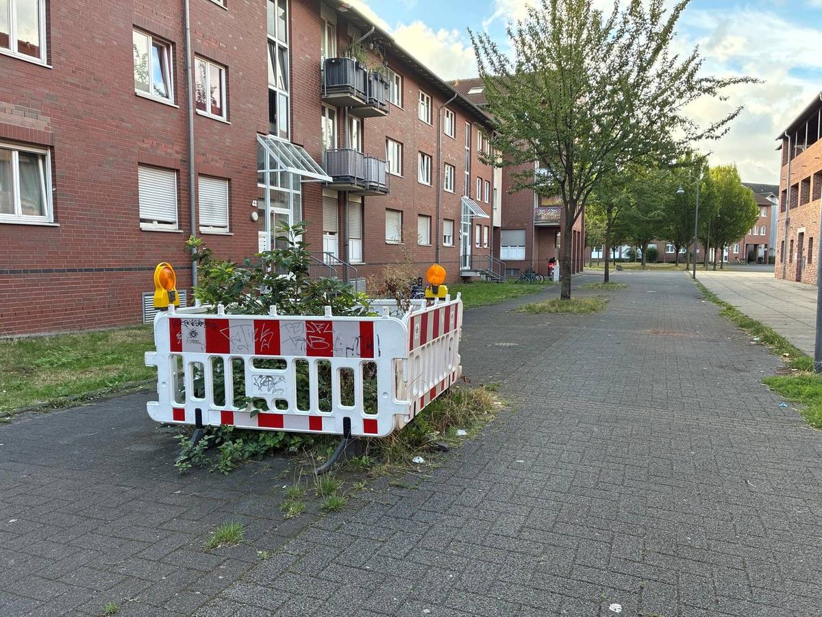 Seit Monaten ist diese Grünfläche in der Schneebergstraße in Köln-Blumenberg abgesperrt.