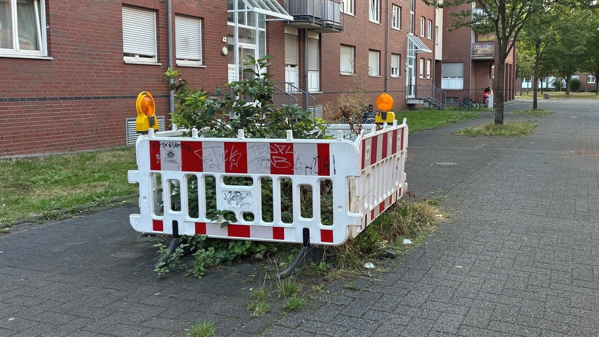 Seit Monaten ist diese Grünfläche in der Schneebergstraße in Köln-Blumenberg abgesperrt.