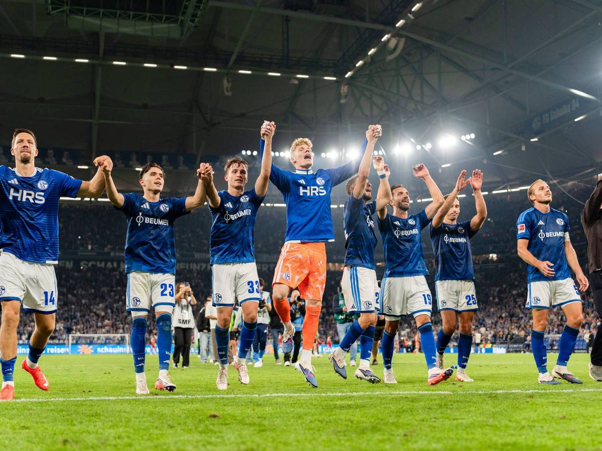 Schalker Spieler jubeln mit Fans.