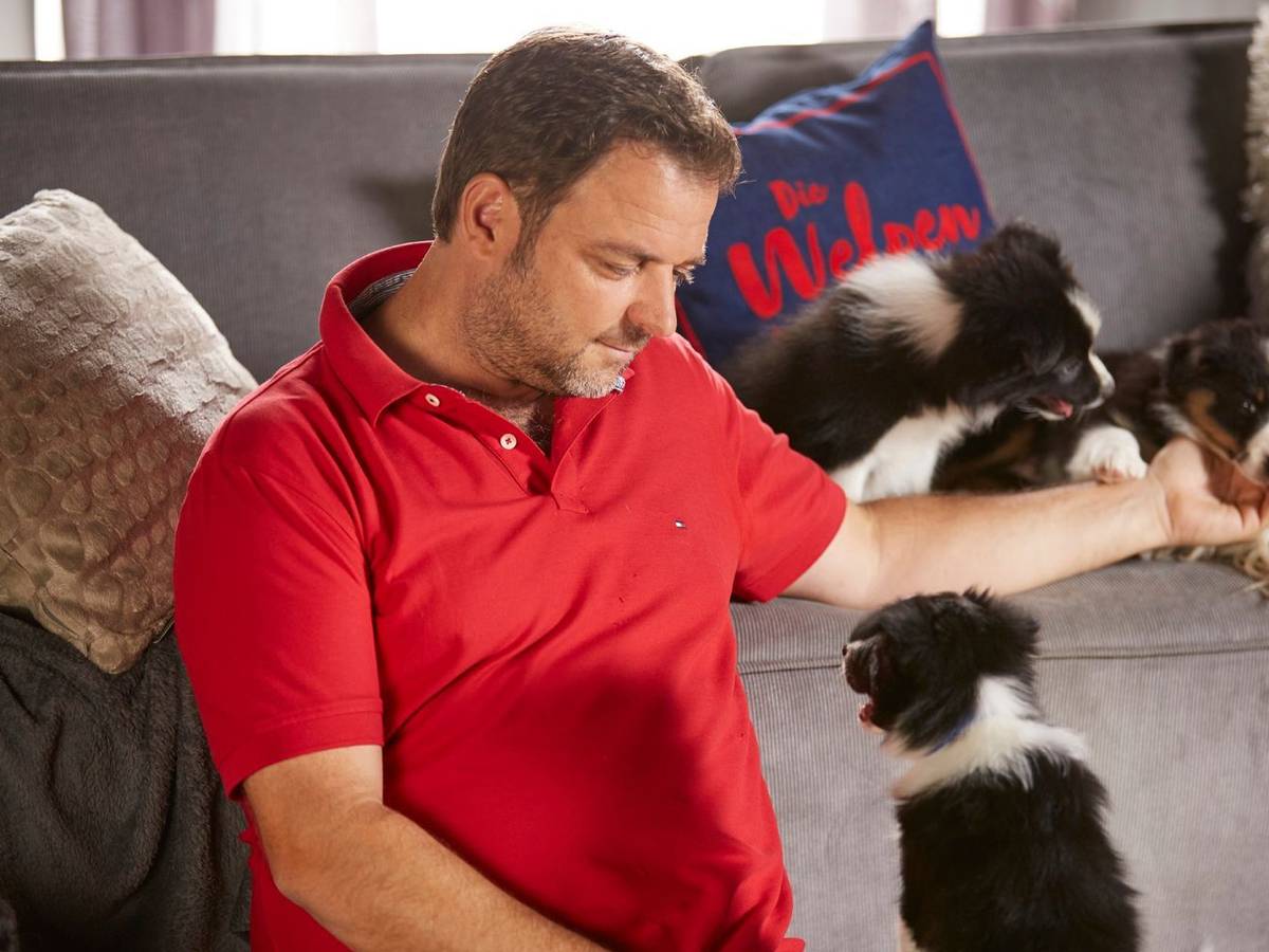 Augen auf bei der Wahl des Vierbeiners: „Hundeprofi“ Martin Rütter warnt vor einem „Marketing-Gag“. (Bild: RTL / Arya Shirazi )