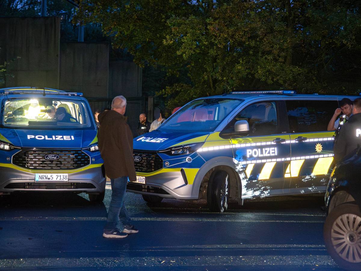 Nach mehreren Sabotageangriffen auf das Stromnetz in Nordrhein-Westfalen ist es bei einer Stromanlage in Hamm zu einem größeren Polizeieinsatz gekommen.