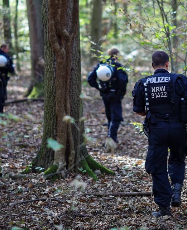Polizeikräfte durchsuchen ein Waldstück.