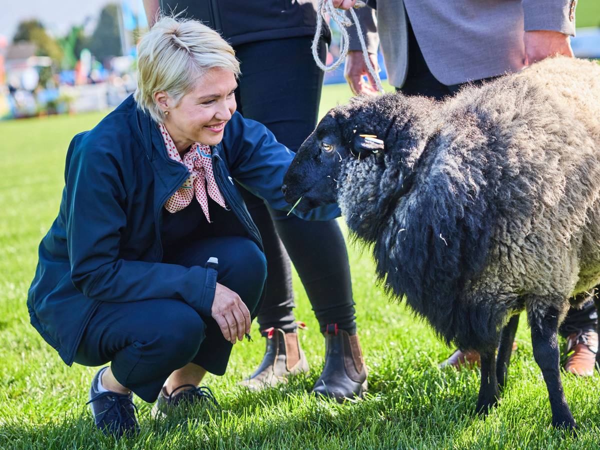 Manuela Schwesig (SPD) möchte weiter in Mecklenburg-Vorpommern regieren.