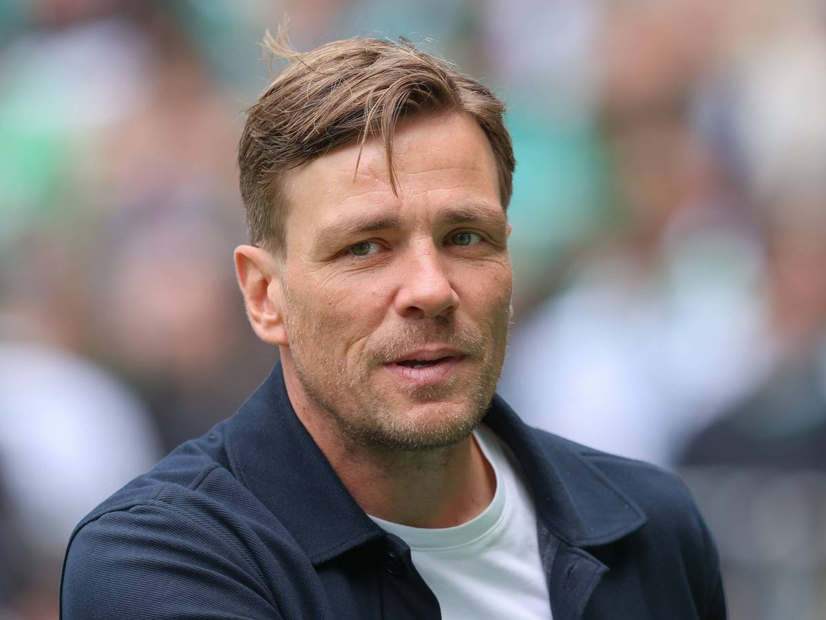 Clemens Fritz im Stadion.