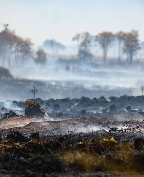 Rauch über der verbrannten Landschaft am Ort des Brandes im Naturschutzgebiet Hohes Venn.
