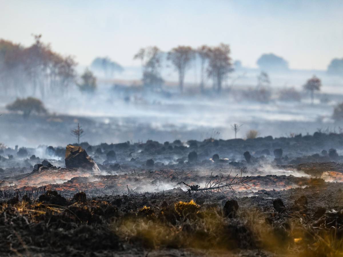 Rauch über der verbrannten Landschaft am Ort des Brandes im Naturschutzgebiet Hohes Venn.