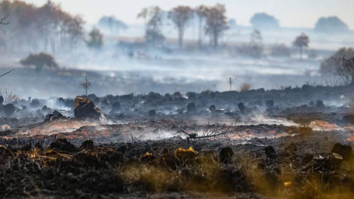Rauch über der verbrannten Landschaft am Ort des Brandes im Naturschutzgebiet Hohes Venn.