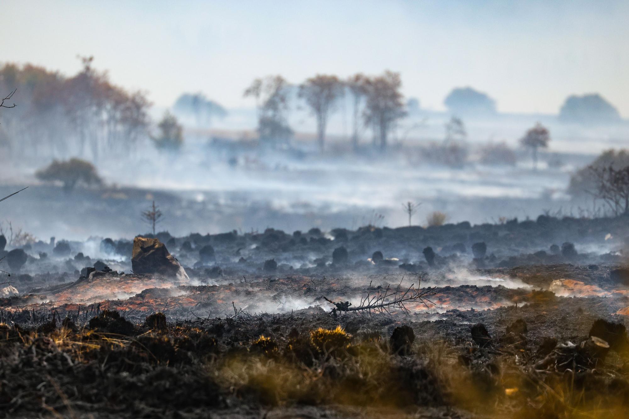 Rauch über der verbrannten Landschaft am Ort des Brandes im Naturschutzgebiet Hohes Venn.