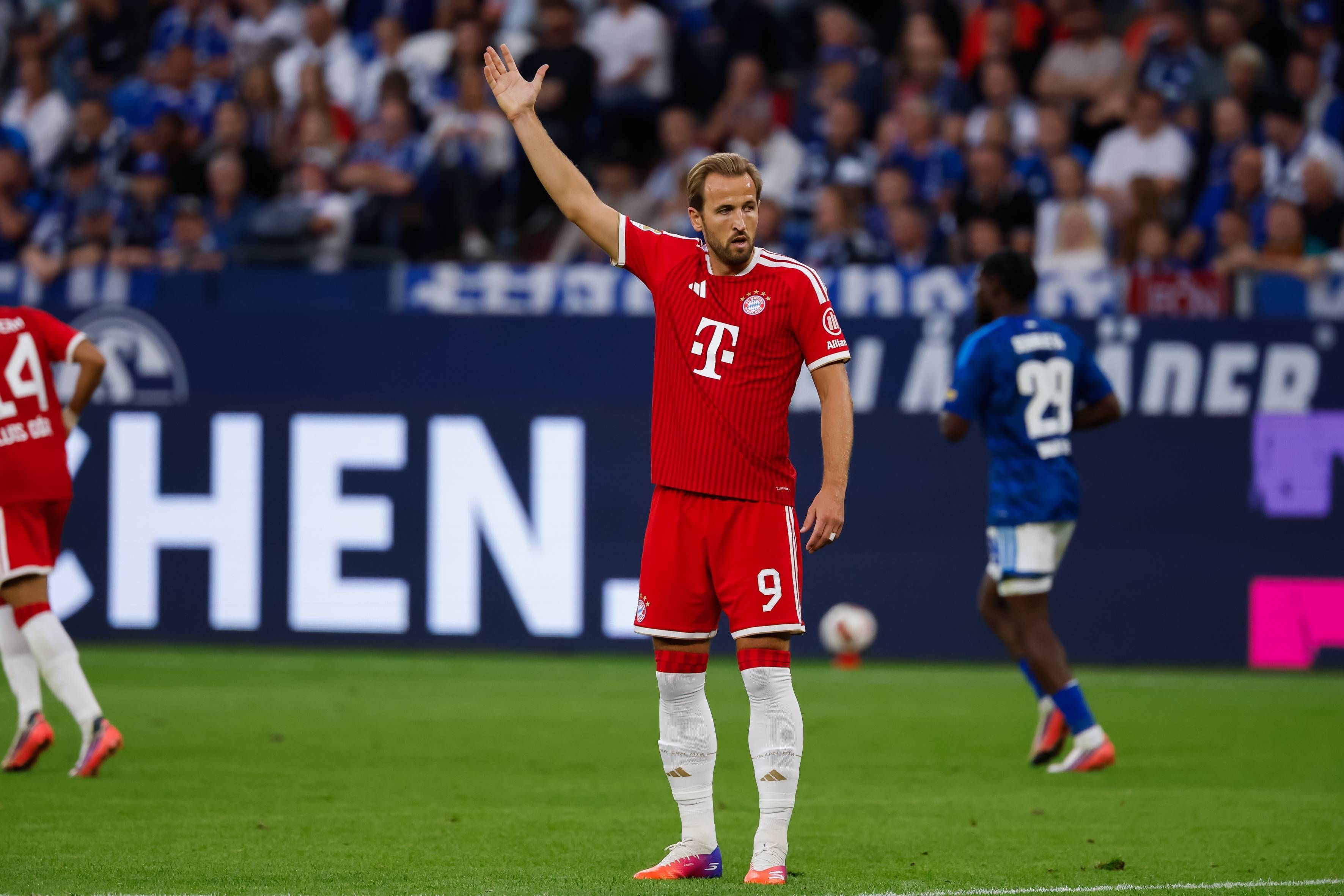 Harry Kane beim Spiel des FC Bayern auf dem Platz.