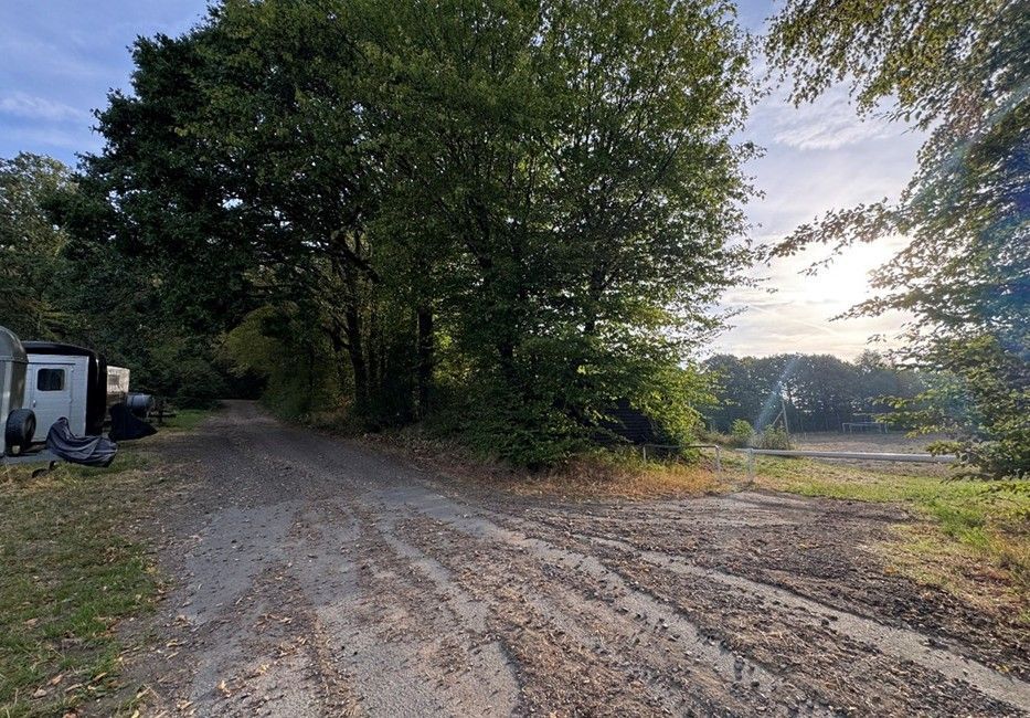 Auf dem Bild sind ein Feldweg und Pferdeanhänger zu sehen.