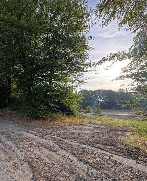 Auf dem Bild sind ein Feldweg und Pferdeanhänger zu sehen.