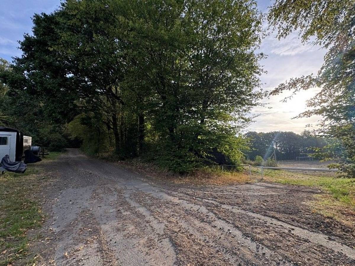 Auf dem Bild sind ein Feldweg und Pferdeanhänger zu sehen.