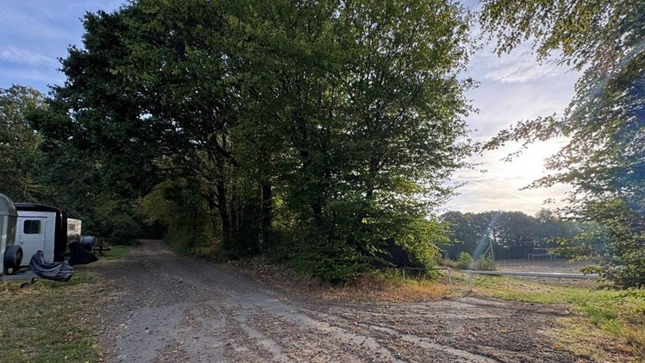 Auf dem Bild sind ein Feldweg und Pferdeanhänger zu sehen.