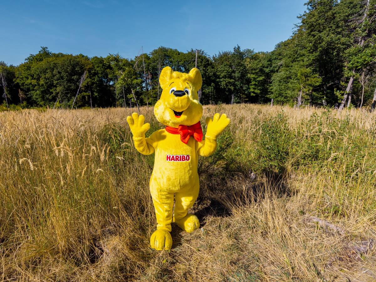 Ein Haribo-Goldbär auf der Waldfläche im Ahrtal, die das Unternehmen aufforsten möchte.
