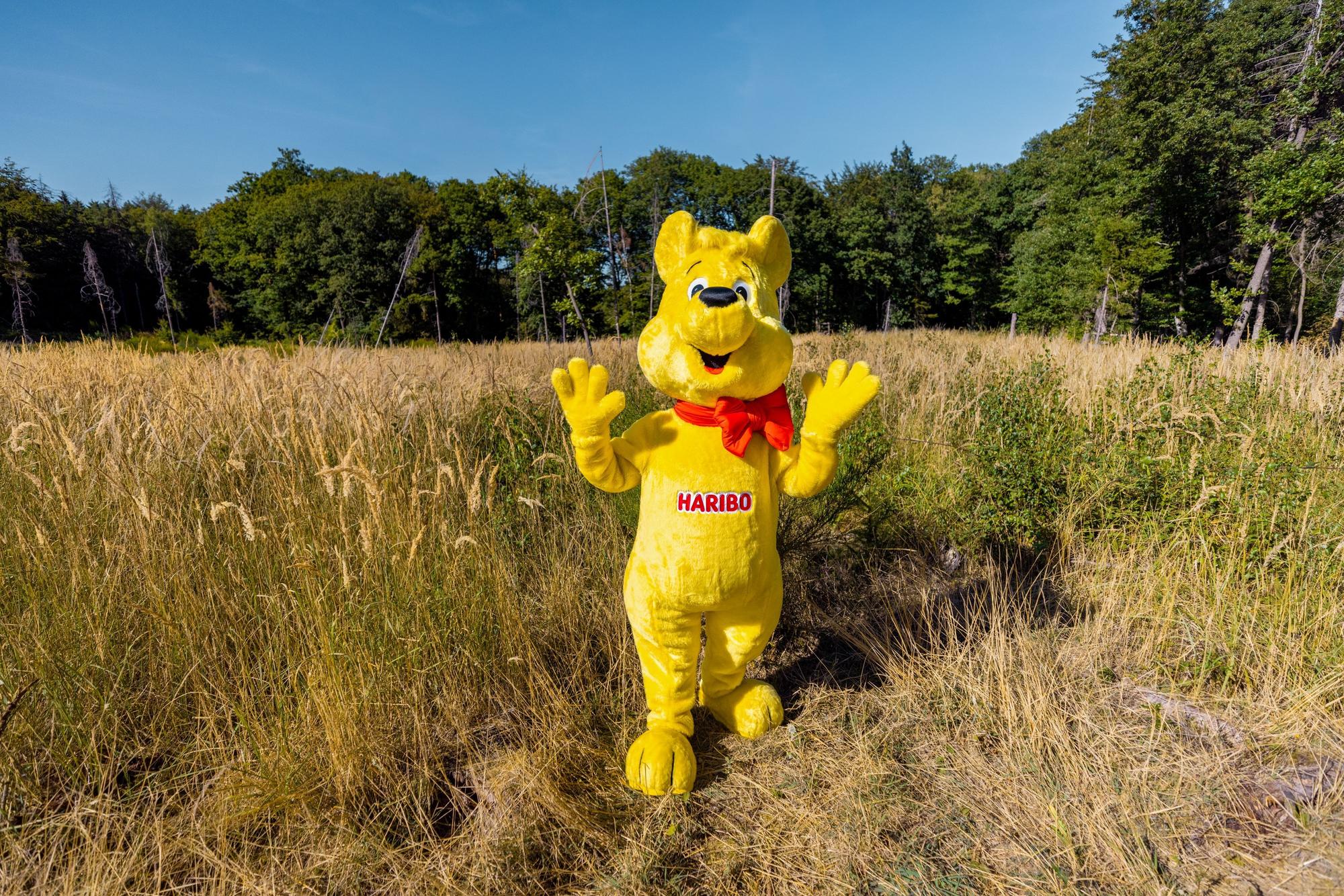 Ein Haribo-Goldbär auf der Waldfläche im Ahrtal, die das Unternehmen aufforsten möchte.