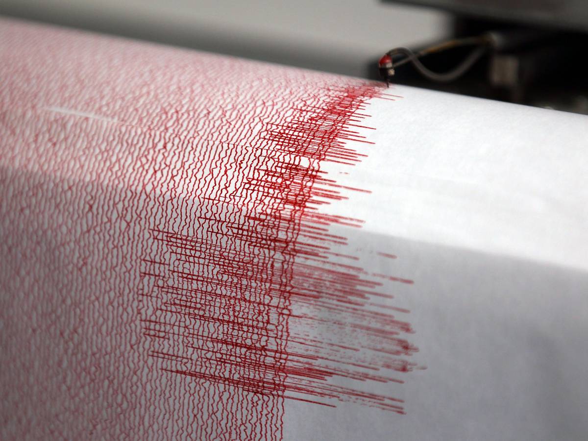 In der Region Mannheim/Worms hat es ein Erdbeben gegeben (Symbolbild eines Seismographen).