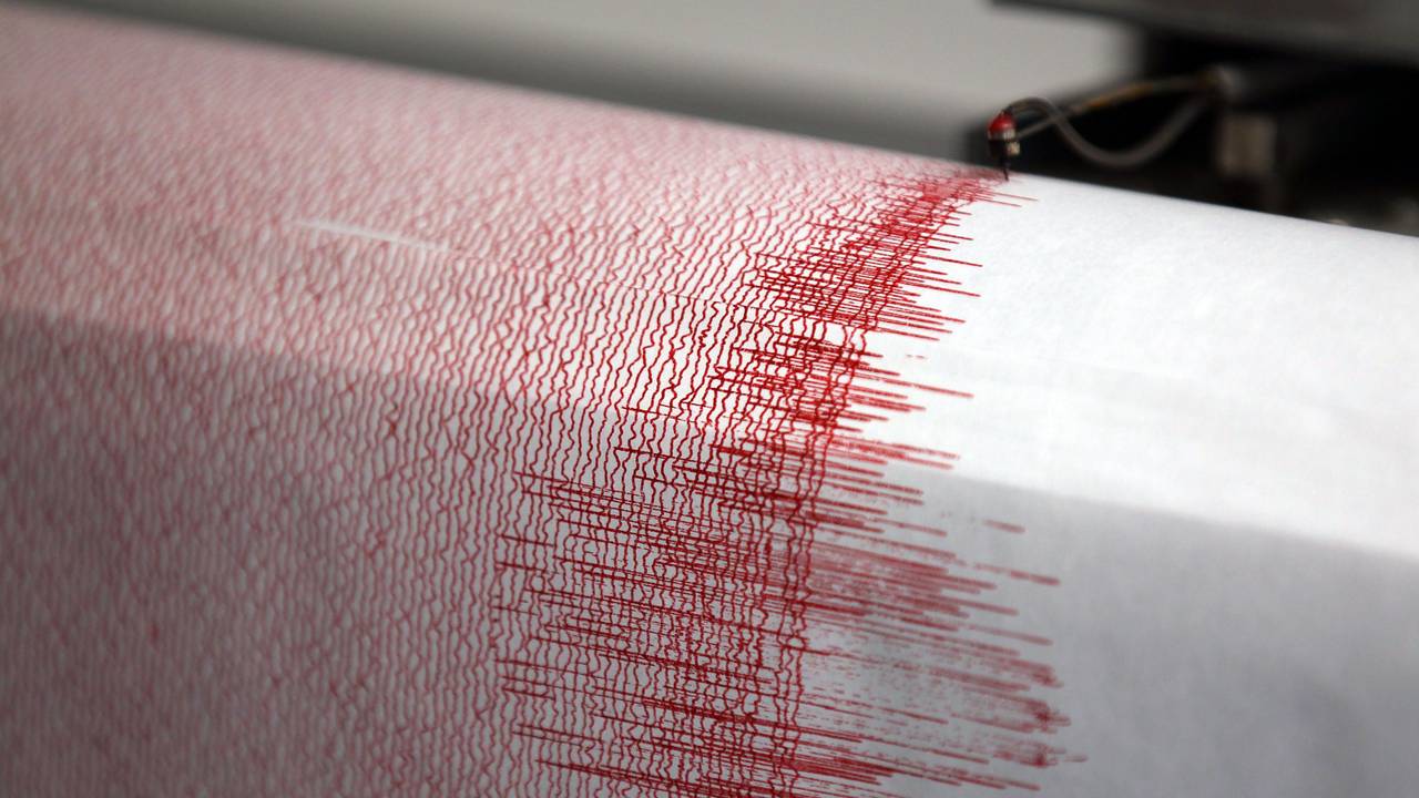 In der Region Mannheim/Worms hat es ein Erdbeben gegeben (Symbolbild eines Seismographen).