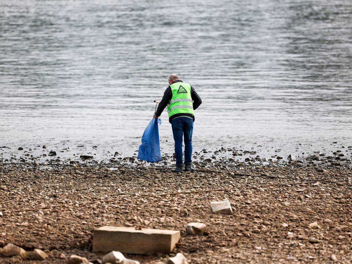 Freiwillige Helfer räumen im Rahmen der Aktion «RhineCleanUp» das Ufer am Rhein in Oberkassel auf.