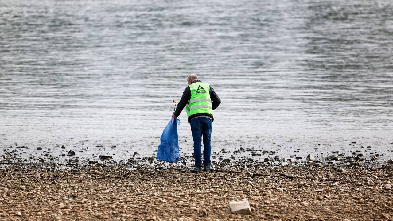 Freiwillige Helfer räumen im Rahmen der Aktion «RhineCleanUp» das Ufer am Rhein in Oberkassel auf.