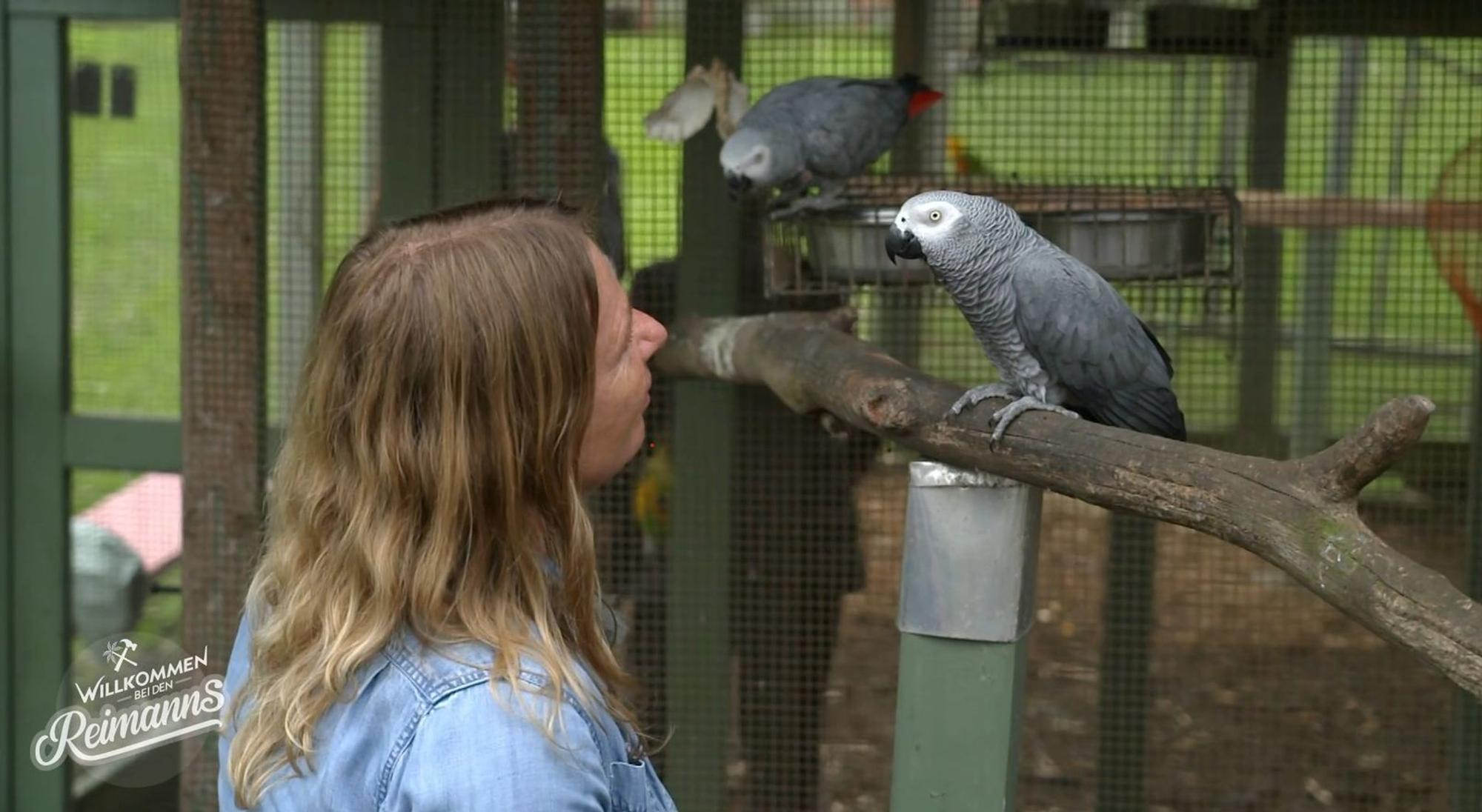 Zu ihren Papageien Lebewohl zu sagen, fällt Manu Reimann sehr schwer. (Bild: Kabel Eins)