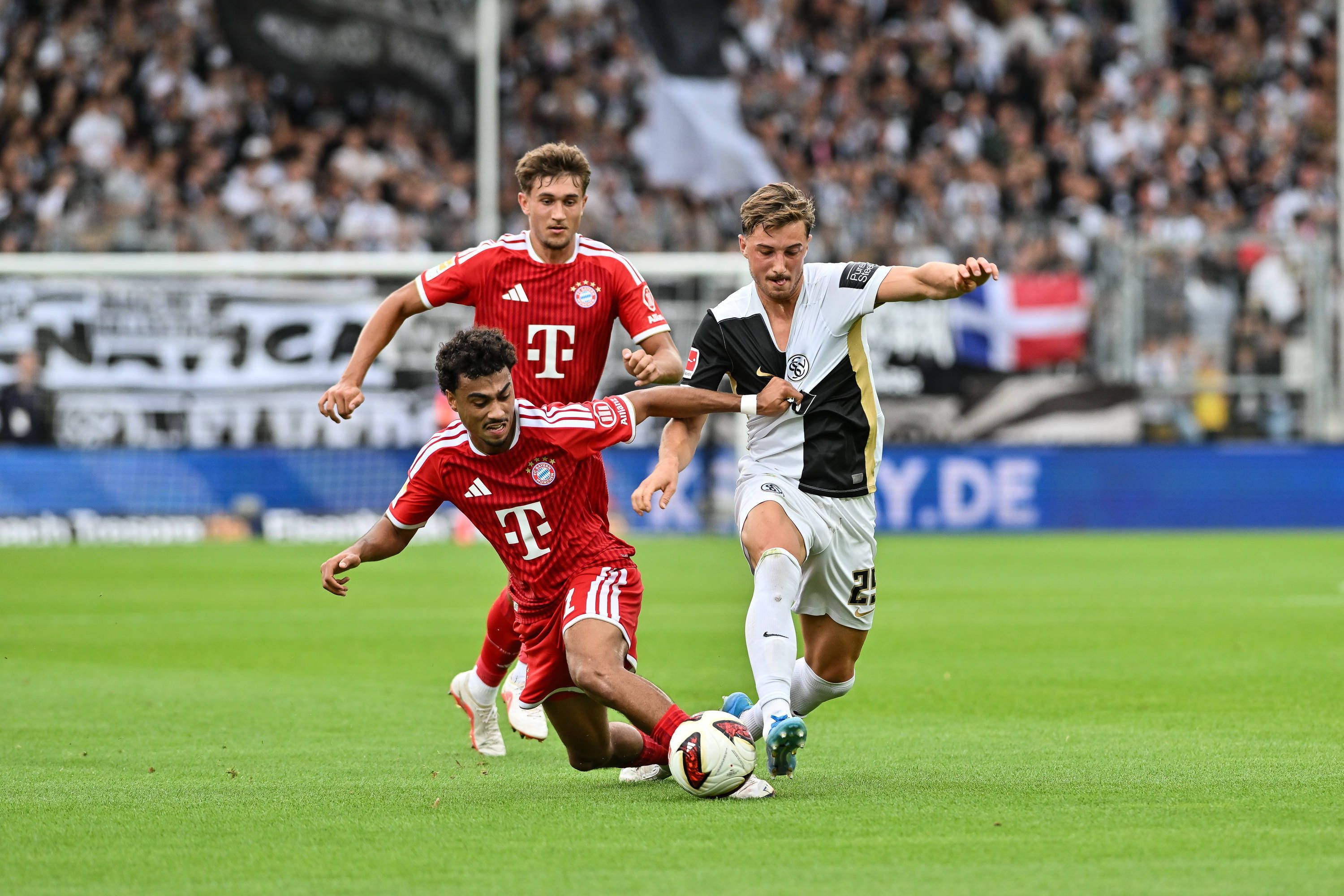 Nathaniel Brown geht gegen Lukas Petkov ins Tackling. Tom Bischof schaut dahinter zu.