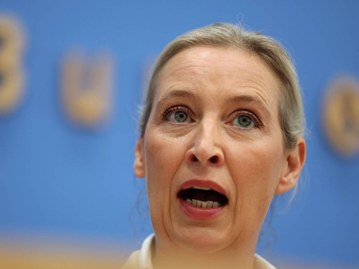 Alice Weidel auf einer PK.