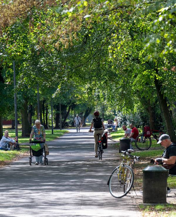 Im Mülheimer Stadtgarten genießen die Menschen einen schönen Spätsommertag. (Archivbild)