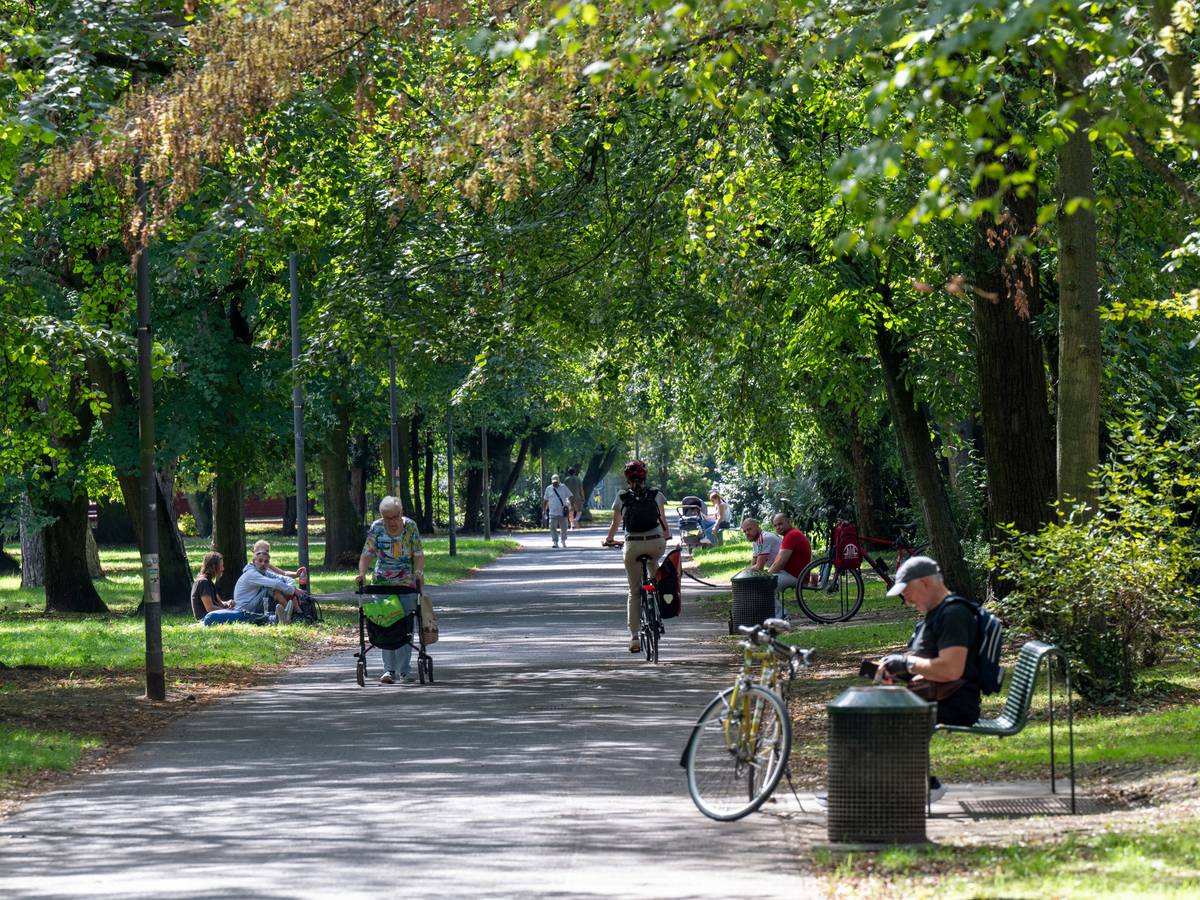Im Mülheimer Stadtgarten genießen die Menschen einen schönen Spätsommertag. (Archivbild)