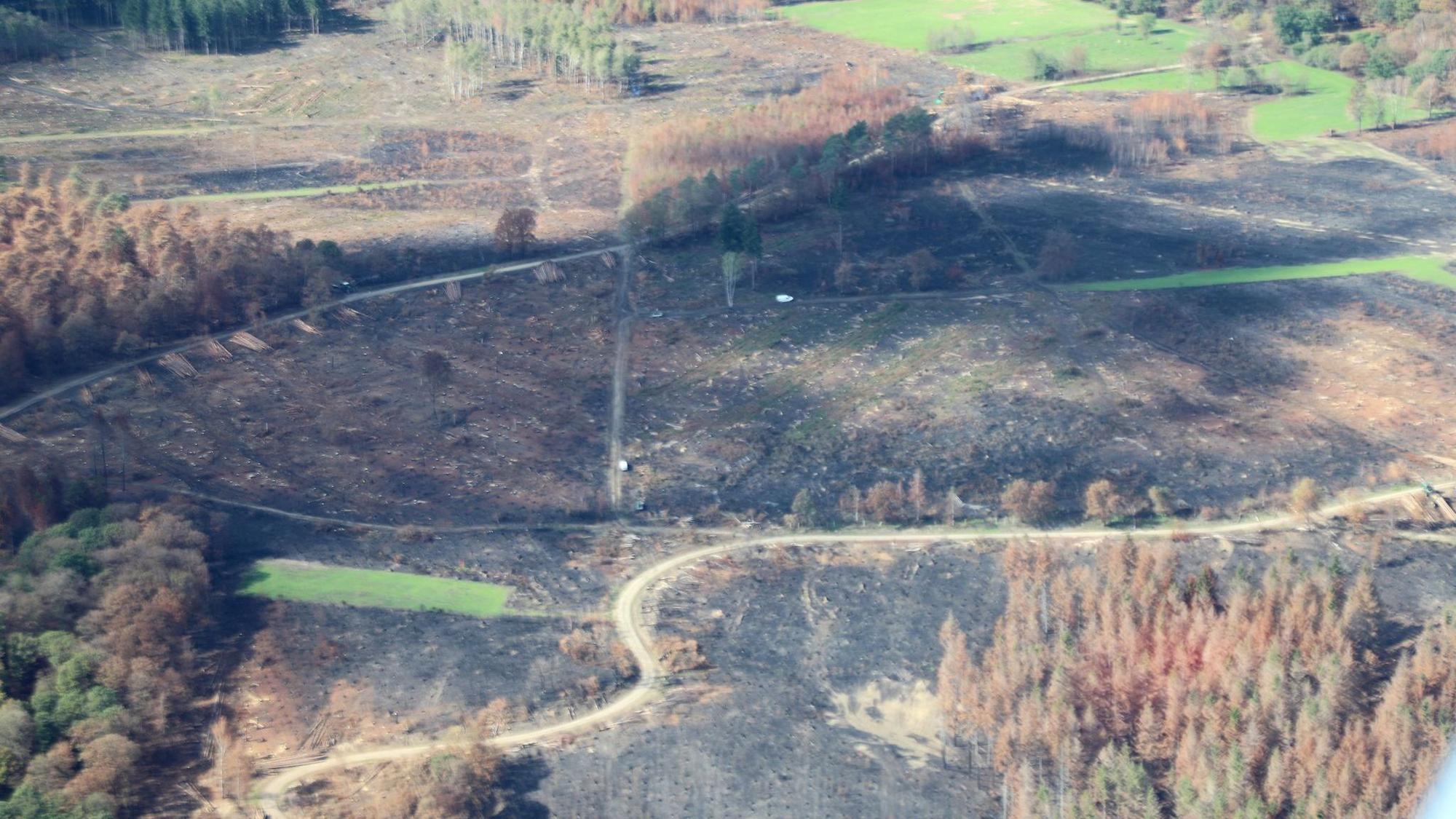 Zerstörung nach den Waldbränden im Hürtgenwald