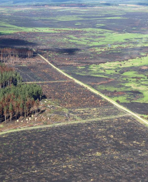 Zerstörung nach den Waldbränden im Hohen Venn