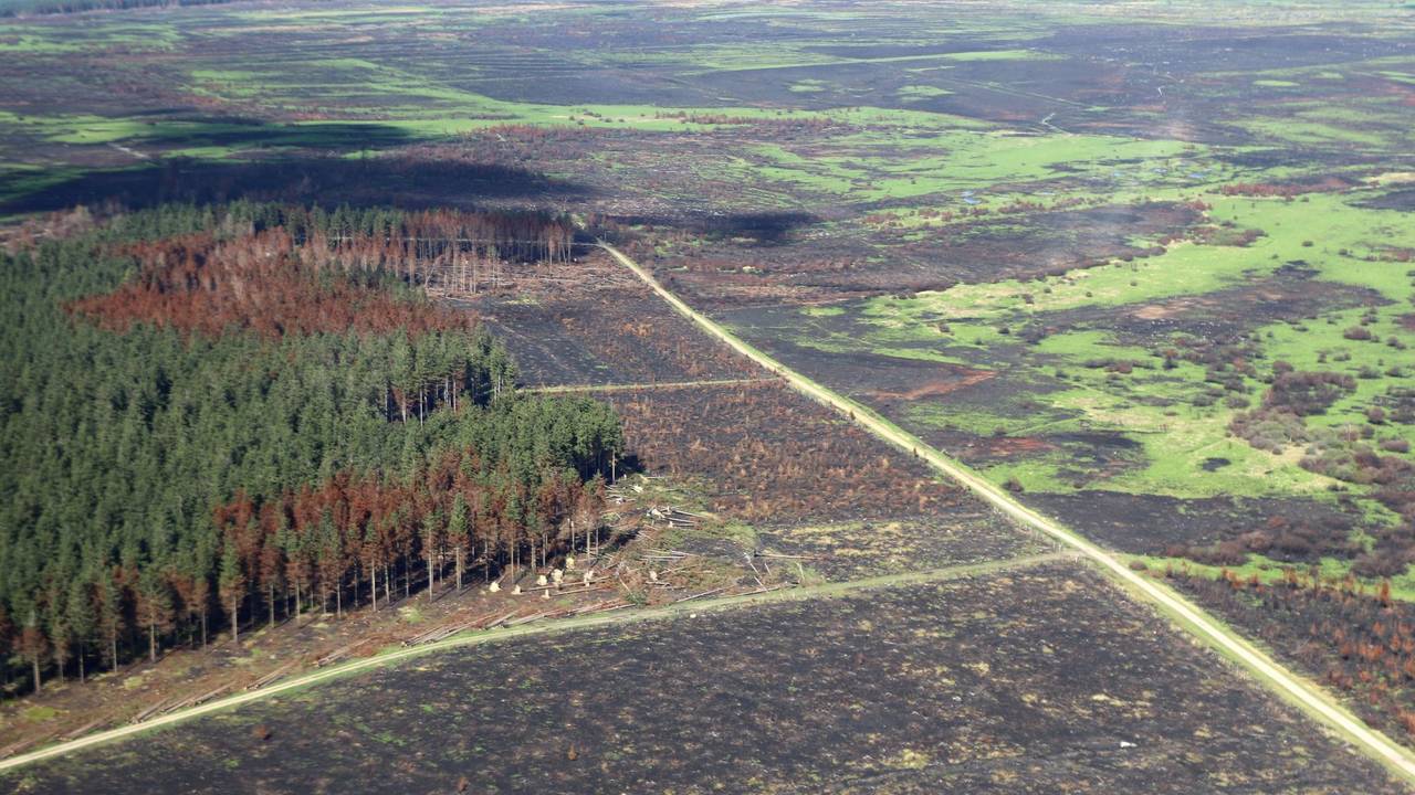 Zerstörung nach den Waldbränden im Hohen Venn