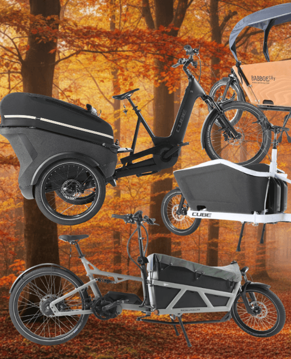 E-Lastenräder unterschiedlicher Marken (u. a. Cube, Babboe, Riese & Müller) vor dem Hintergrund einer Innenstadt, Fußgängerzone, mit blühenden Bäumen am Straßenrand, Rebike-Logo.