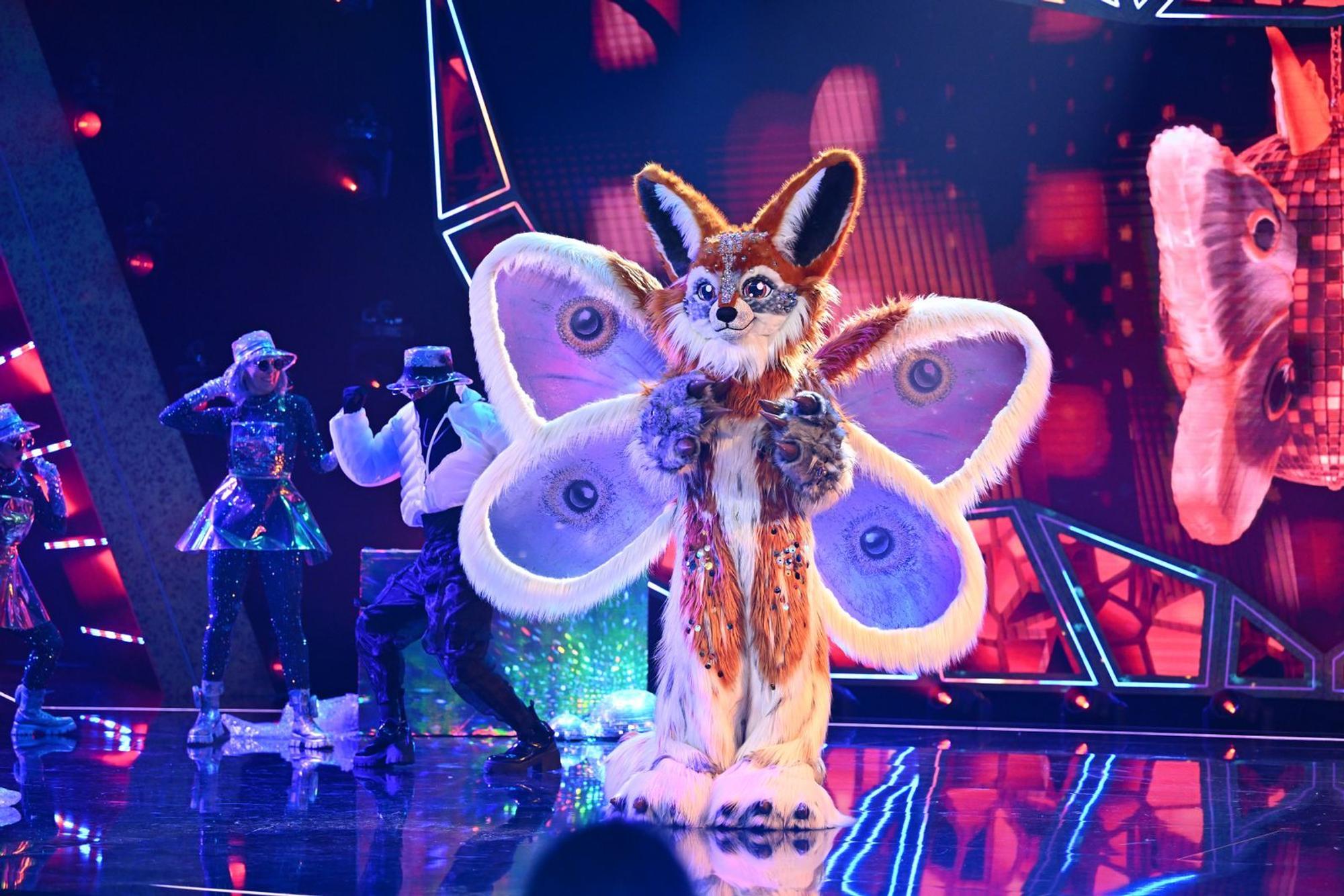 Ziemlich schüchtern gab sich Fuchsmottenfalter Momo. Auf der Bühne wurde er aber mit „Blinded By The Light“ (Manfred Mann's Earth Band) und „“Boogie Wonderland“ (Earth, Wind & Fire) zur echten Ramoensau. (Bild: Joyn/Willi Weber)