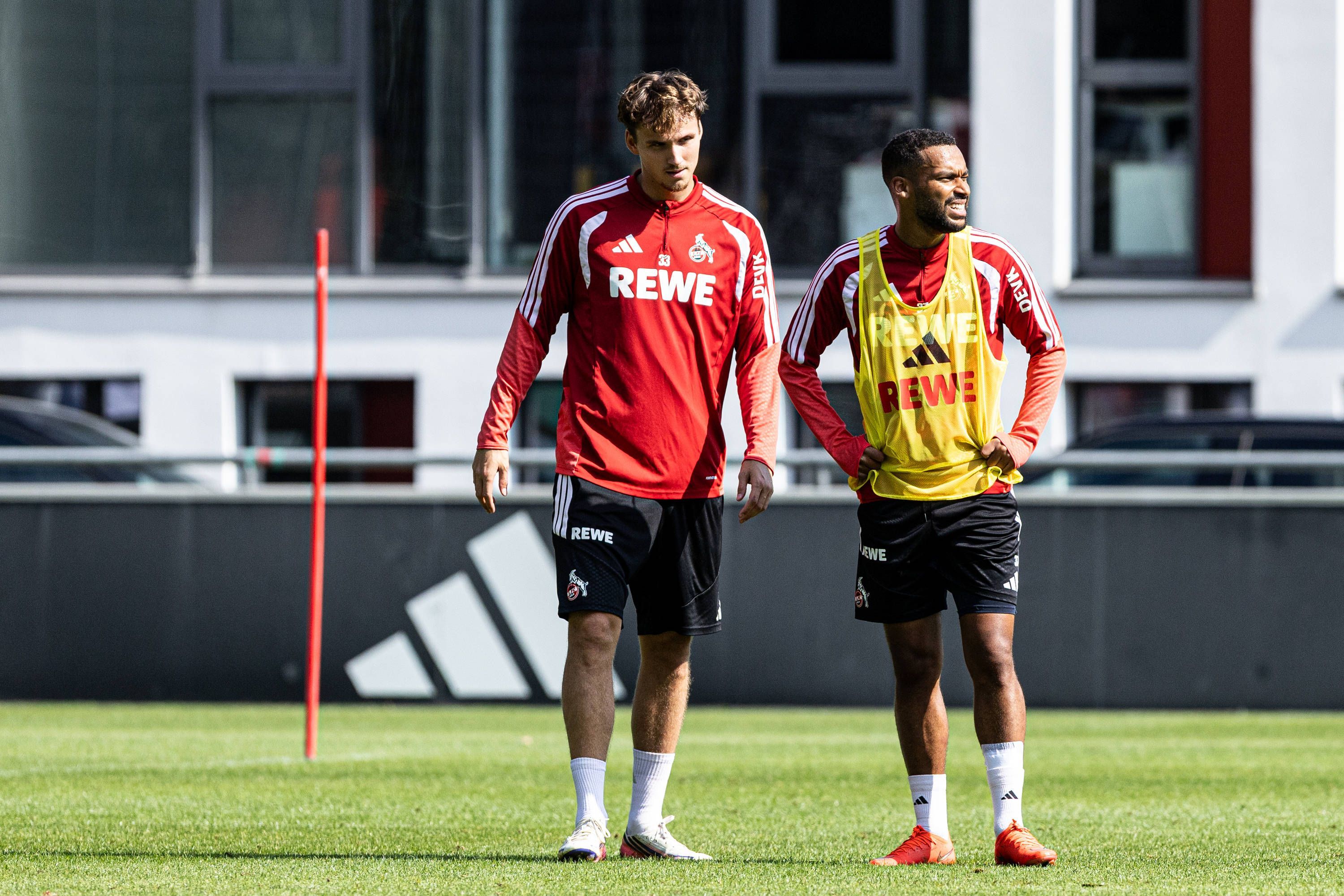 Rav van den Berg im Training des 1. FC Köln.