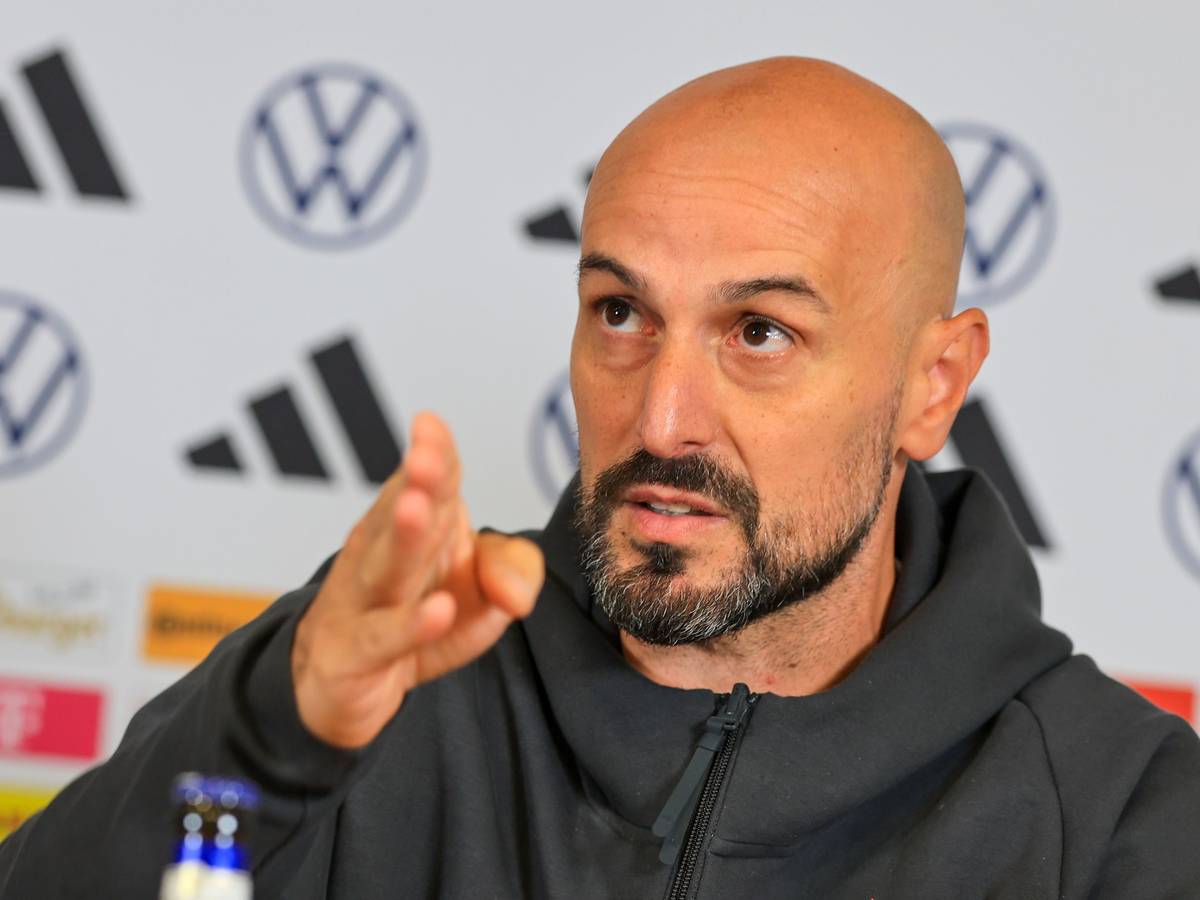 Antonio Di Salvo erklärt etwas auf einer Pressekonferenz.