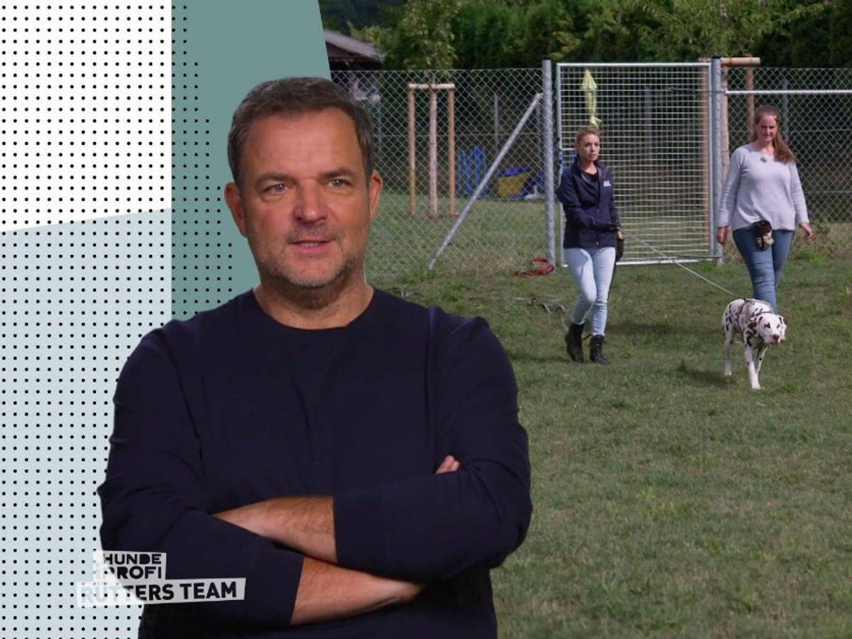 Martin Rütter erklärt, warum es bei der Zucht von Dalmatinern immer wieder zu Fällen von Taubheit kommt. (Bild: RTL)