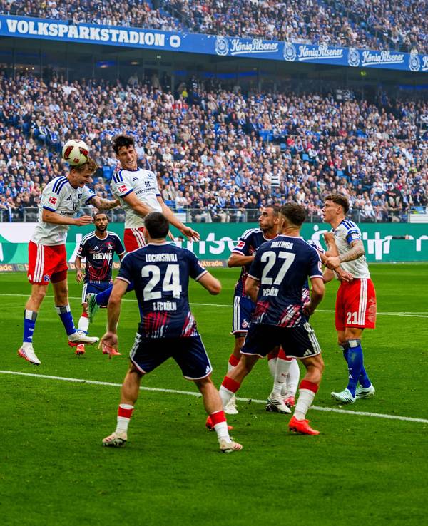 Das 1:0 durch Nicolas Capaldo (Hamburger SV) gegen den 1. FC Köln.