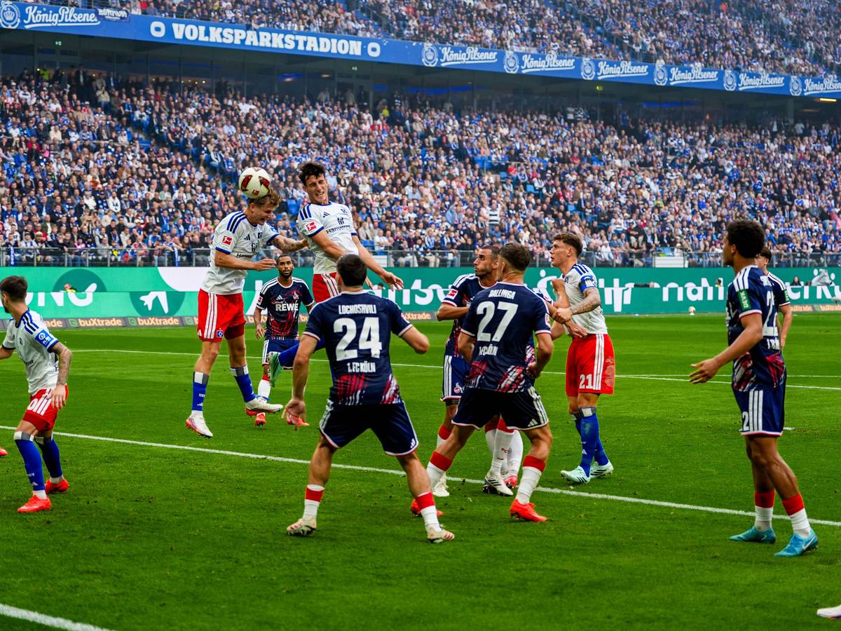 Das 1:0 durch Nicolas Capaldo (Hamburger SV) gegen den 1. FC Köln.