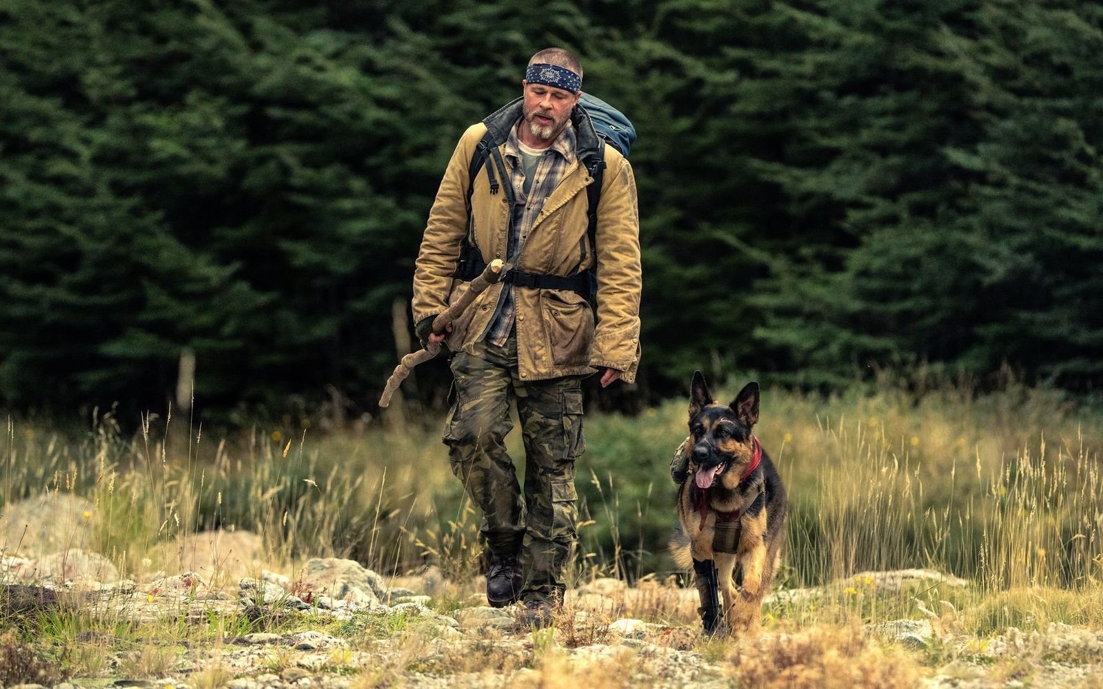 James (Brad Pitt) und sein Schäferhund Odin kämpfen sich nach einem Flugzeugabsturz in Alaska zurück in die Zivilisation. (Bild: 2026 Paramount Pictures/Scott Garfield)