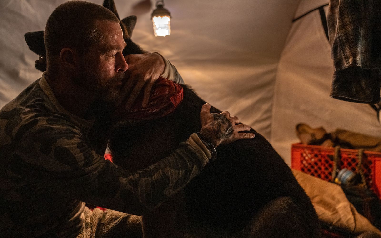 Schäferhund Odin hat schlecht geträumt: Der Vierbeiner und sein Herrchen James (Brad Pitt) sind nach ihren gemeinsamen Kriegseinsätzen gleichermaßen traumatisiert. (Bild: 2026 Paramount Pictures/Scott Garfield)