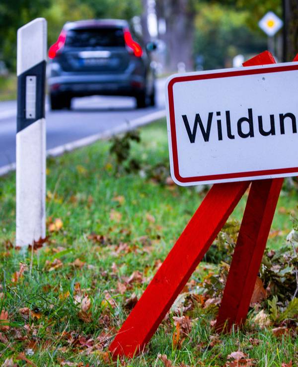 Ein Warnschild mit der Aufschrift „Wildunfall“ steht an einer Bundesstraße.