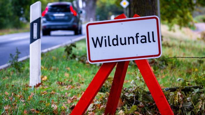 Ein Warnschild mit der Aufschrift „Wildunfall“ steht an einer Bundesstraße.