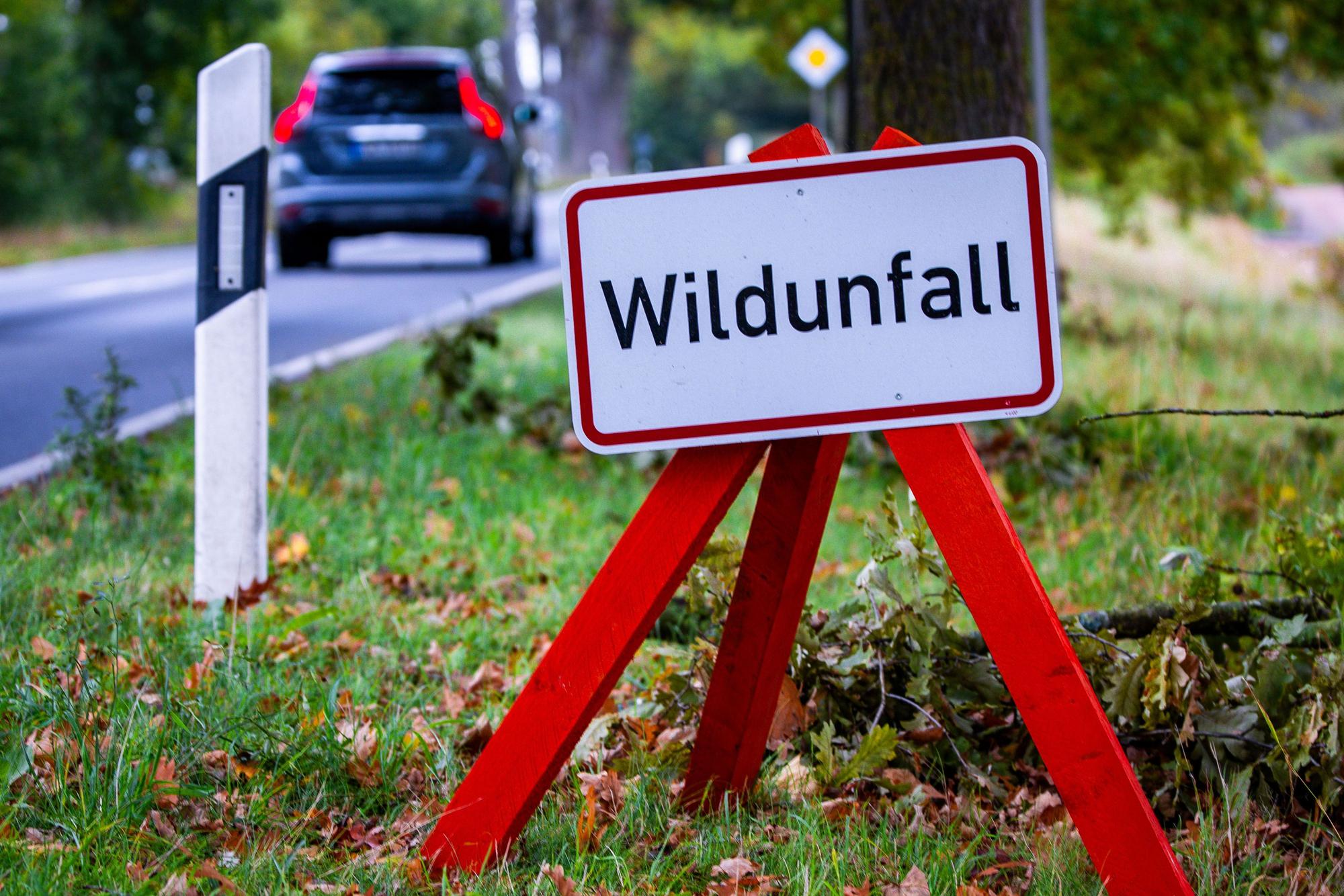 Ein Warnschild mit der Aufschrift „Wildunfall“ steht an einer Bundesstraße.