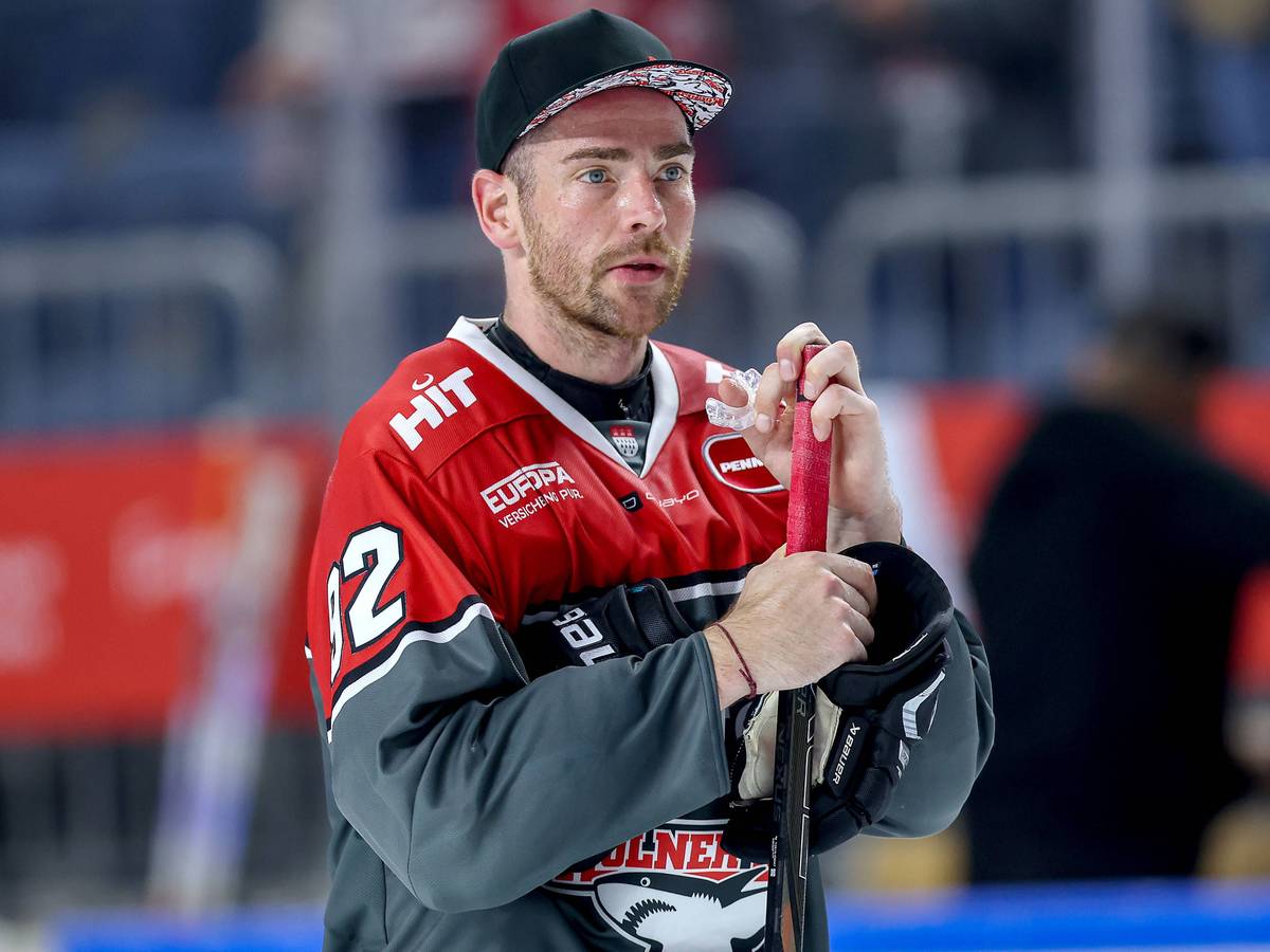 Haie-Profi Marcel Noebels
