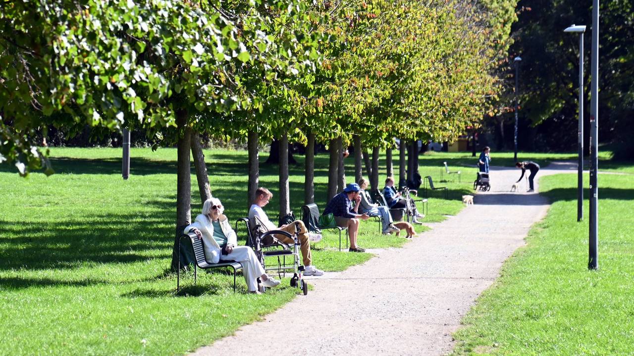 23.09.2026 Köln. Wetter. Herbst. Noch einmal Sonne tanken im Lentpark. Foto: Alexander Schwaiger